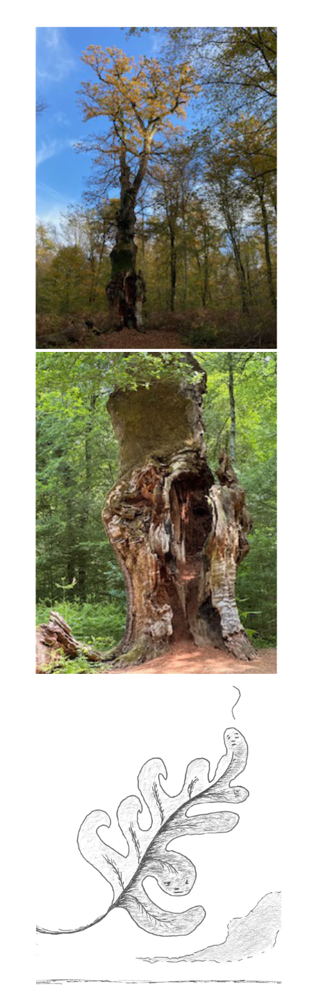 Capture d’écran 2025-12-04 à 13.09.00